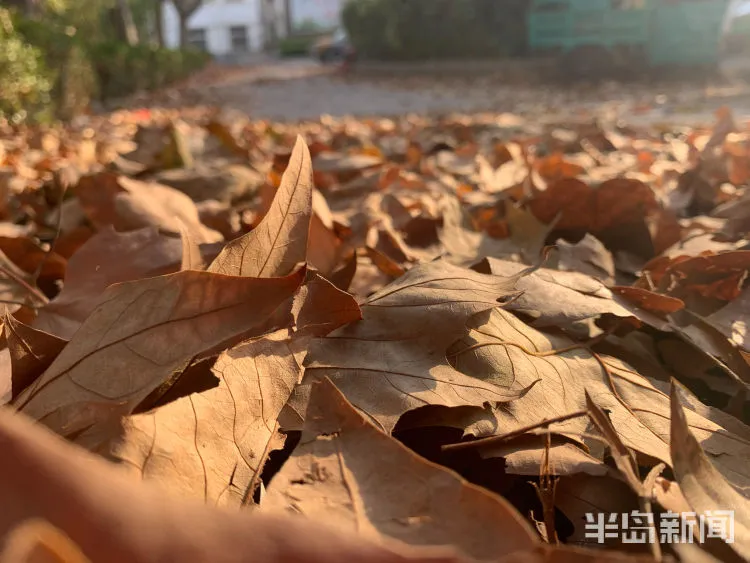 十月初八是哪位神仙的生日_十月初八_十月初八是阳历多少号
