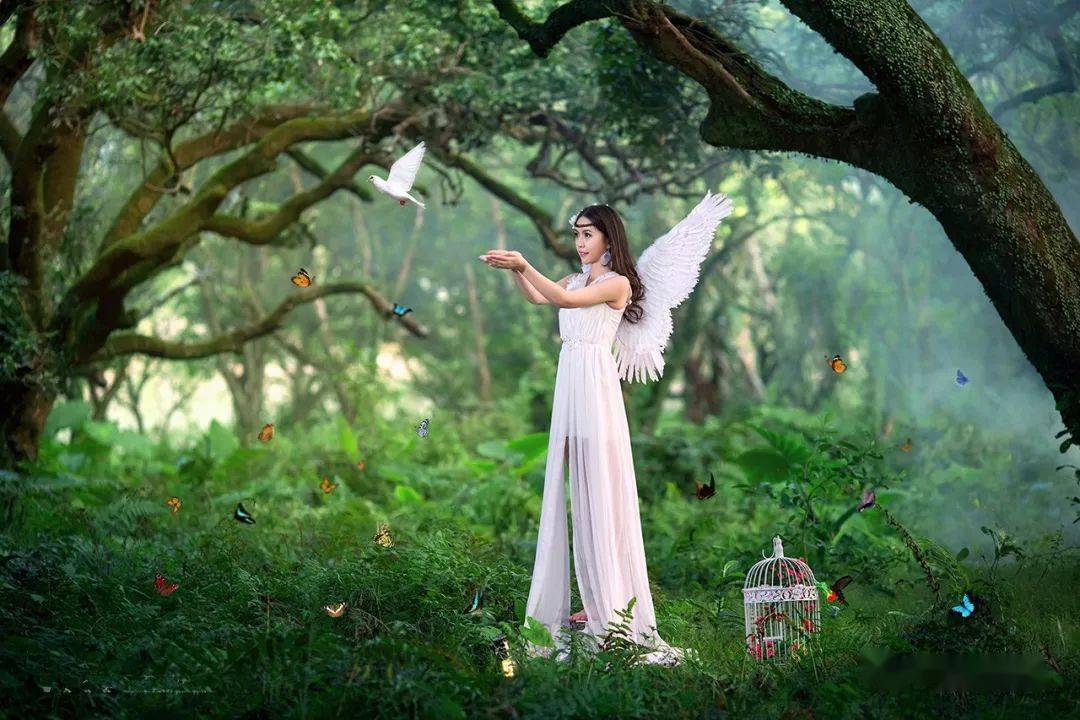 天使施舍游戏王哪一集出现_天使的施舍卡图_天使的施舍