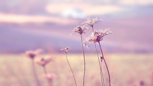 饭岛是谁_希岛爱理希岛あいり_饭岛夏希