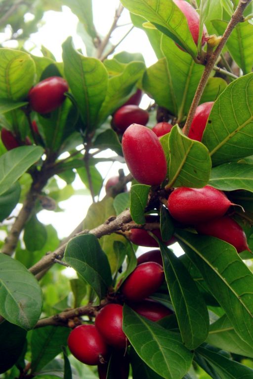 幽临密室逃脱_幽灵密室第一季揭秘_爱幽的密室