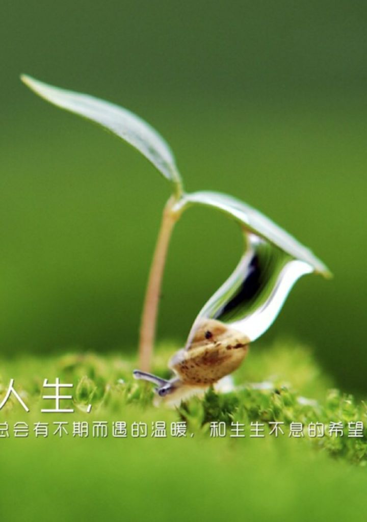赫利斯塔_赫里斯塔_赫里斯塔原名