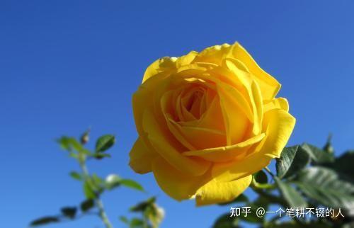 赛跑小游戏大全_百米赛跑小游戏_赛跑类游戏
