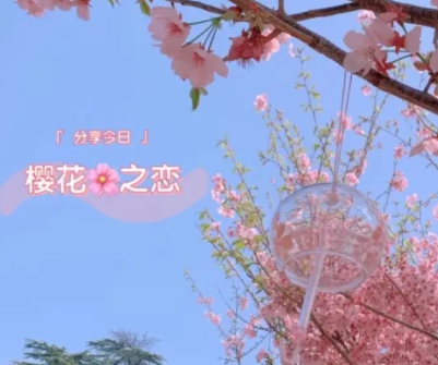 樱井莉亚全集_莉亚丝_尤莉亚