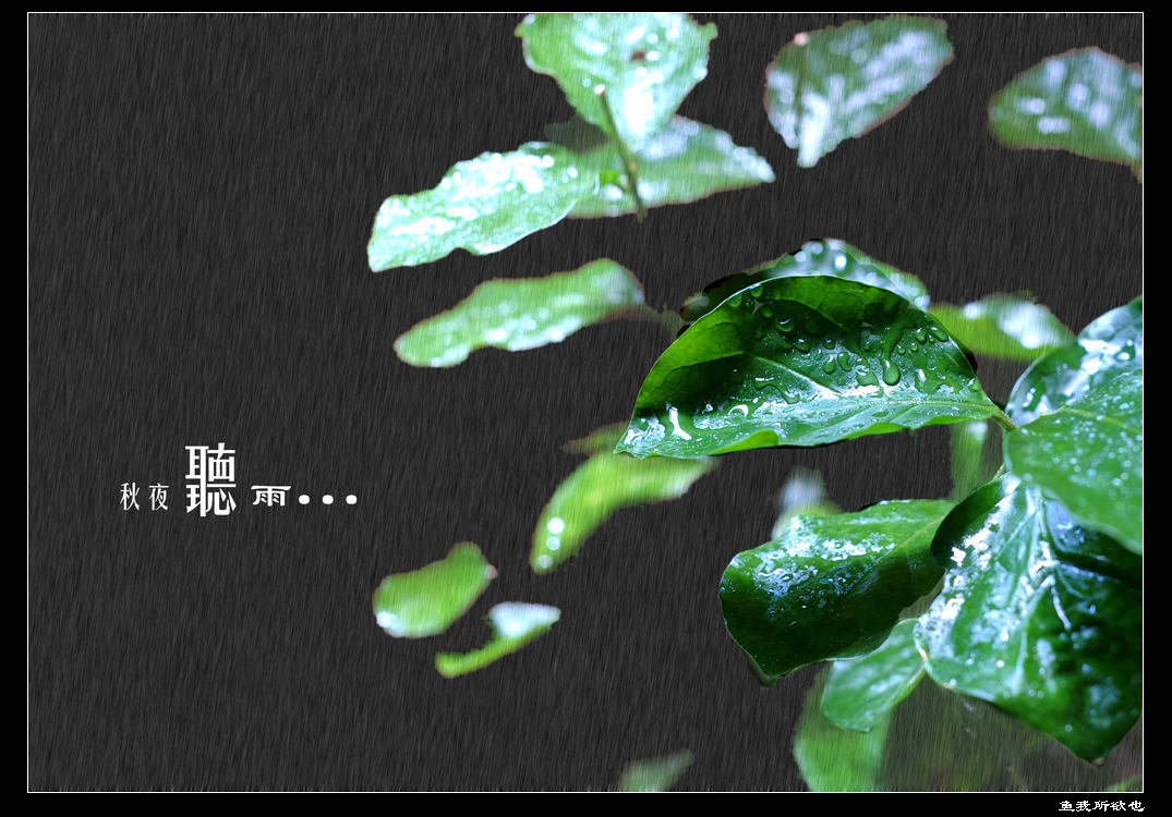 一场秋雨一场凉_秋雨凉意的句子_秋雨凉爽的唯美句子
