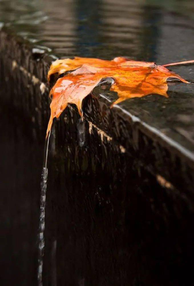 一场秋雨一场凉_秋雨凉意的句子_秋雨凉爽的唯美句子
