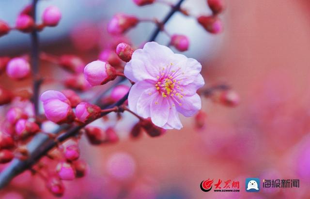 唯美风景画面手机游戏图片_风景画面唯美的手机游戏_唯美风景的游戏