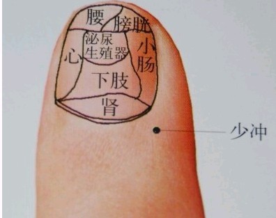 炒股游戏手机游戏下载-不离开床铺也能感受股市惊心动魄？免费炒