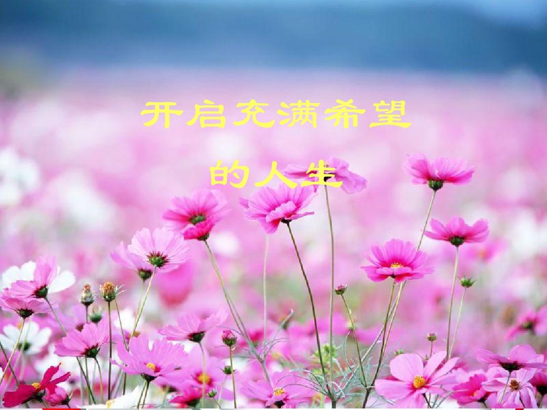 高杉恵那舞图片_高杉_高杉俊介