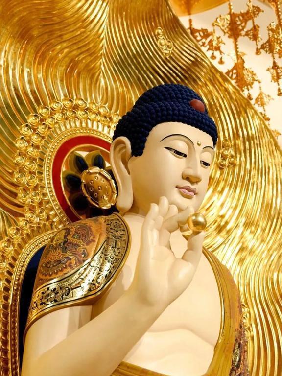 西野司_西野司_西野司