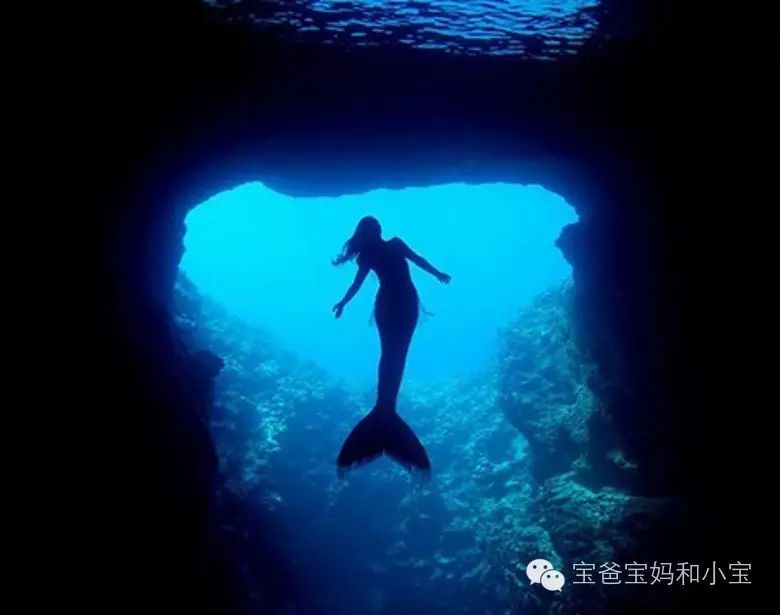 美人鱼变成残疾0_当美人鱼变成残疾o_美人鱼变成残疾otxt