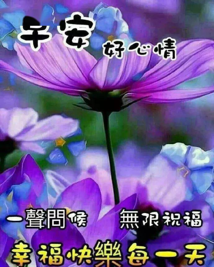 春节的资料_春节资料300字_春节手抄报内容资料