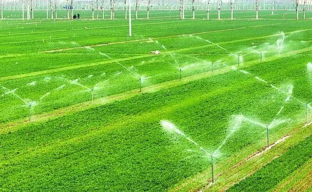 2021年三伏贴的日子_2021年三伏贴贴的时间_2022年三伏贴