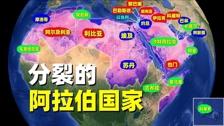 巴勒斯坦人口2020总人数口_巴勒斯坦现有人口_巴勒斯坦人口