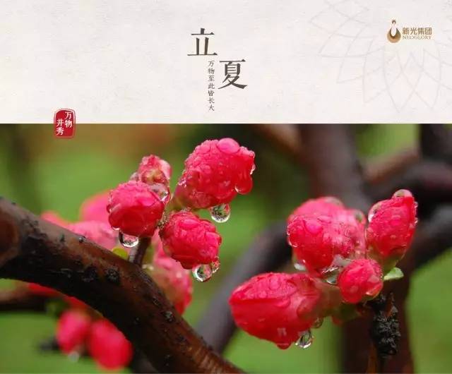 夏季第一个节气_24节气夏季_节气夏季古诗