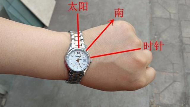 指南针画室_指南针怎么画_指南针画室创始人王雷