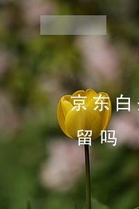 打游戏手机白条_京东白条可以在游戏里消费吗_白条打手机游戏怎么样