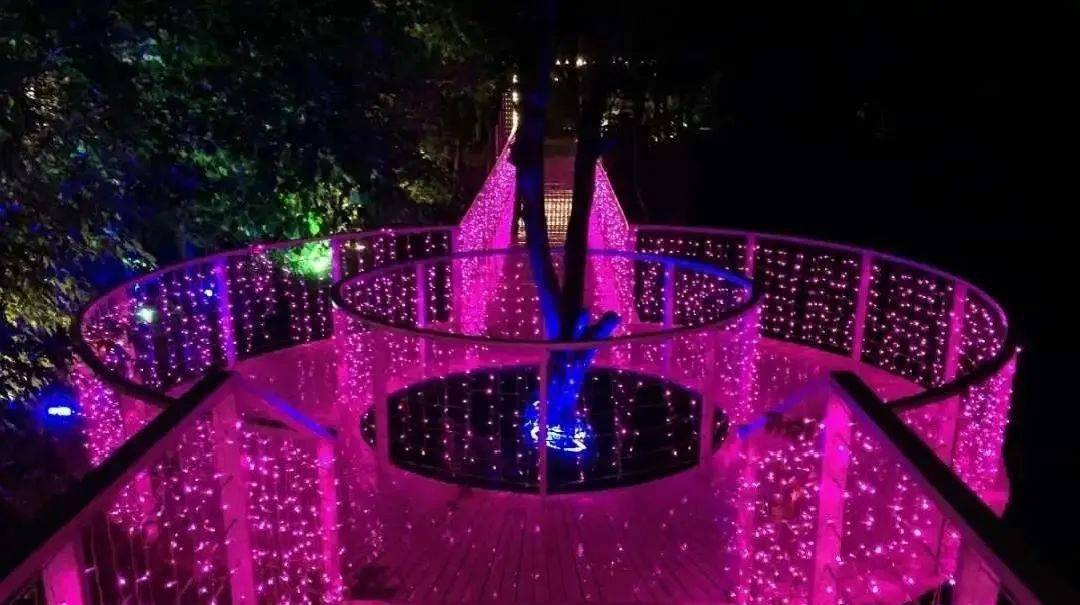 莉拉_莉拉我的天才女友_瓦莉拉