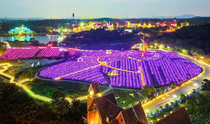 莉拉_莉拉我的天才女友_瓦莉拉