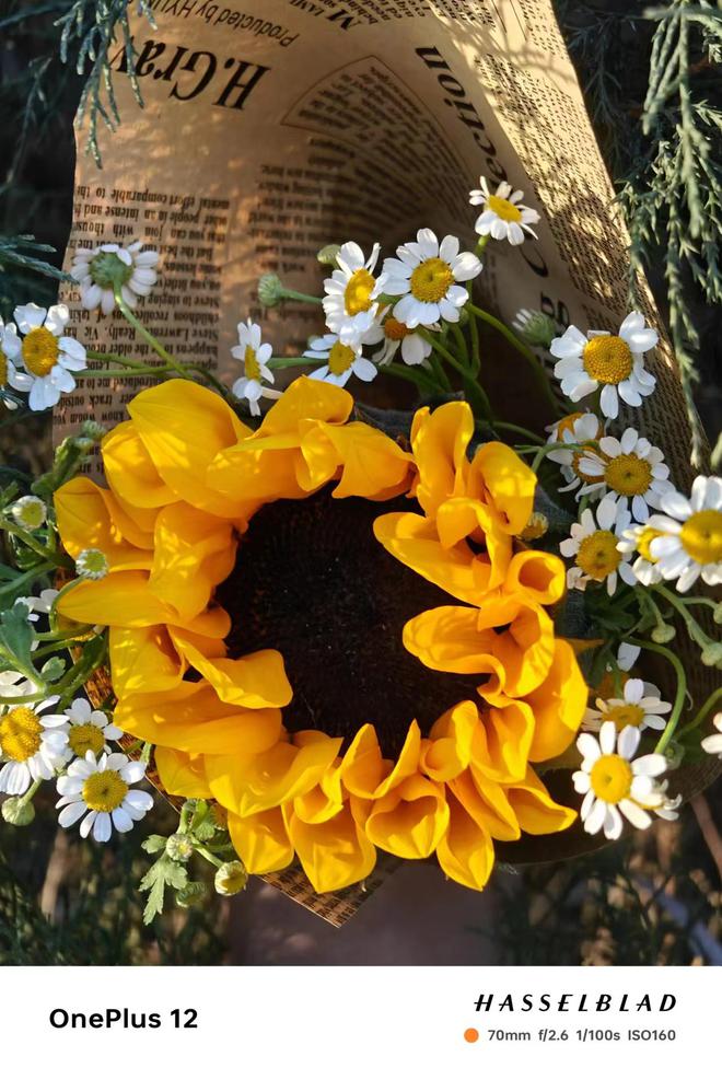 笑脸小游戏_oppo笑脸手机游戏_oppo的笑脸手机