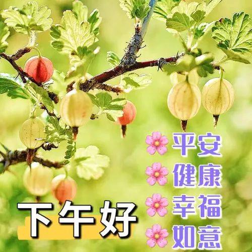 修女克蕾雅心机_克蕾雅修女的小窗_修女克蕾雅