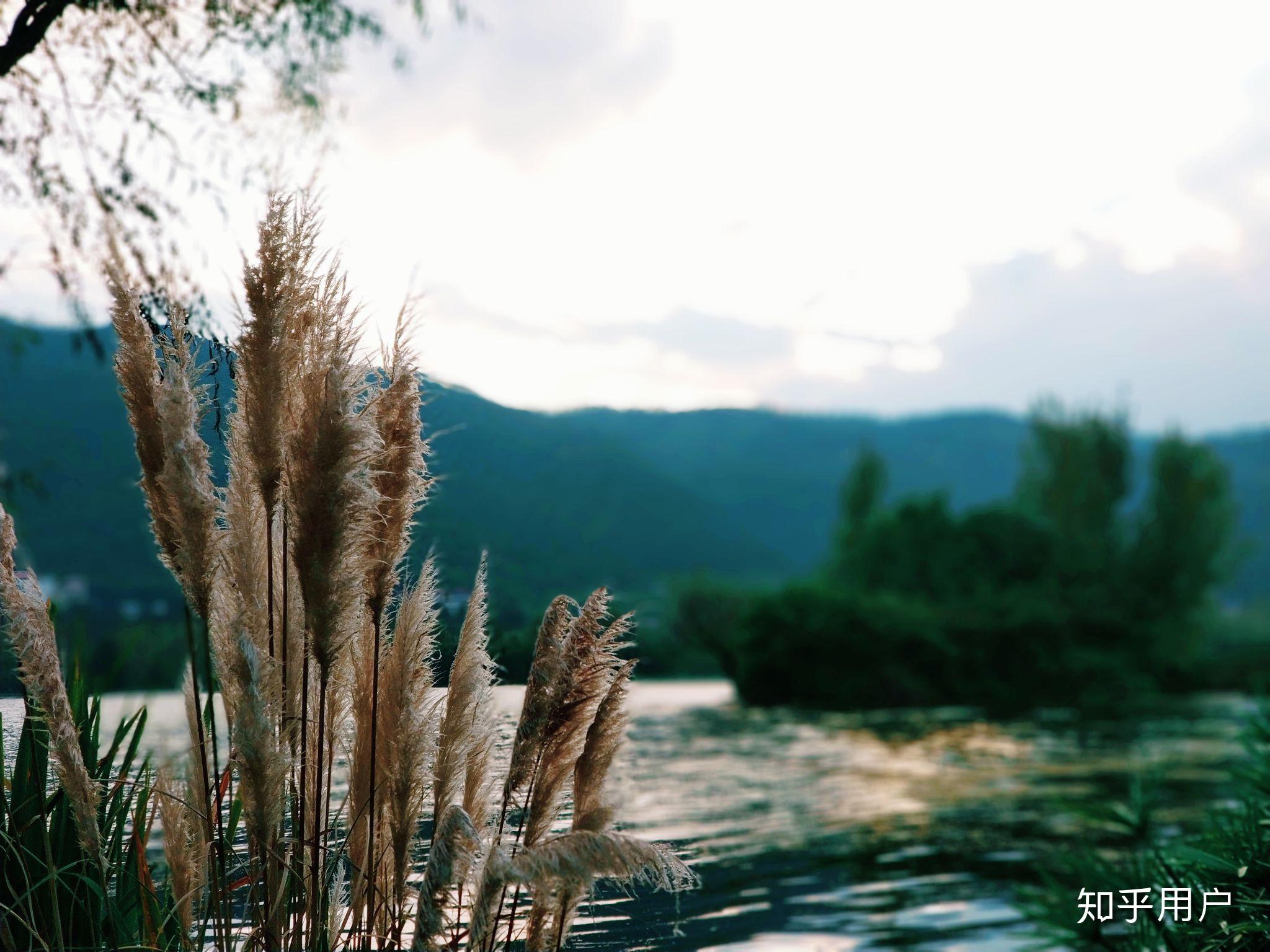 369游戏手机摄影_摄影手机游戏推荐_可以玩摄影的游戏