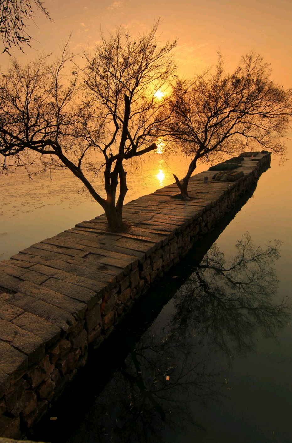 棕色尘埃改名_棕色尘埃_尘埃棕色2