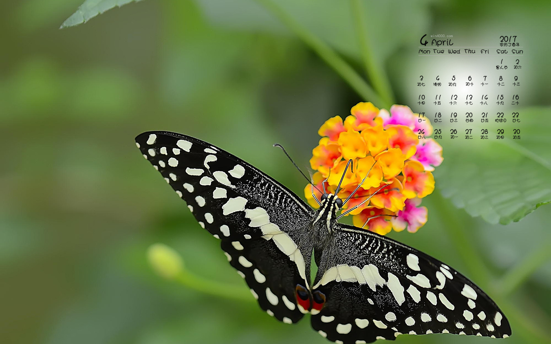 日历月份图片_4月份日历_日历月份怎么分大小