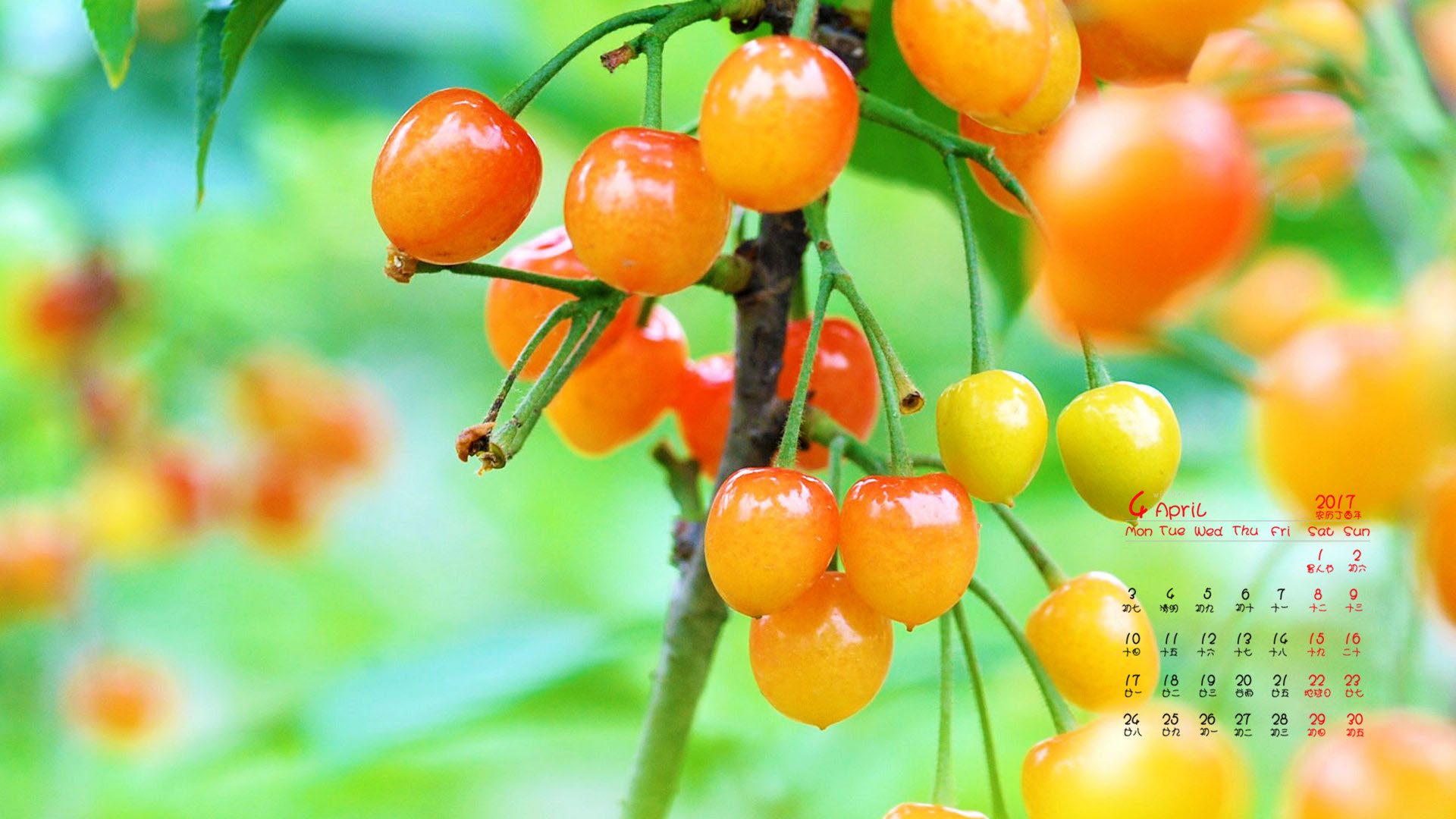 日历月份怎么分大小_4月份日历_日历月份图片