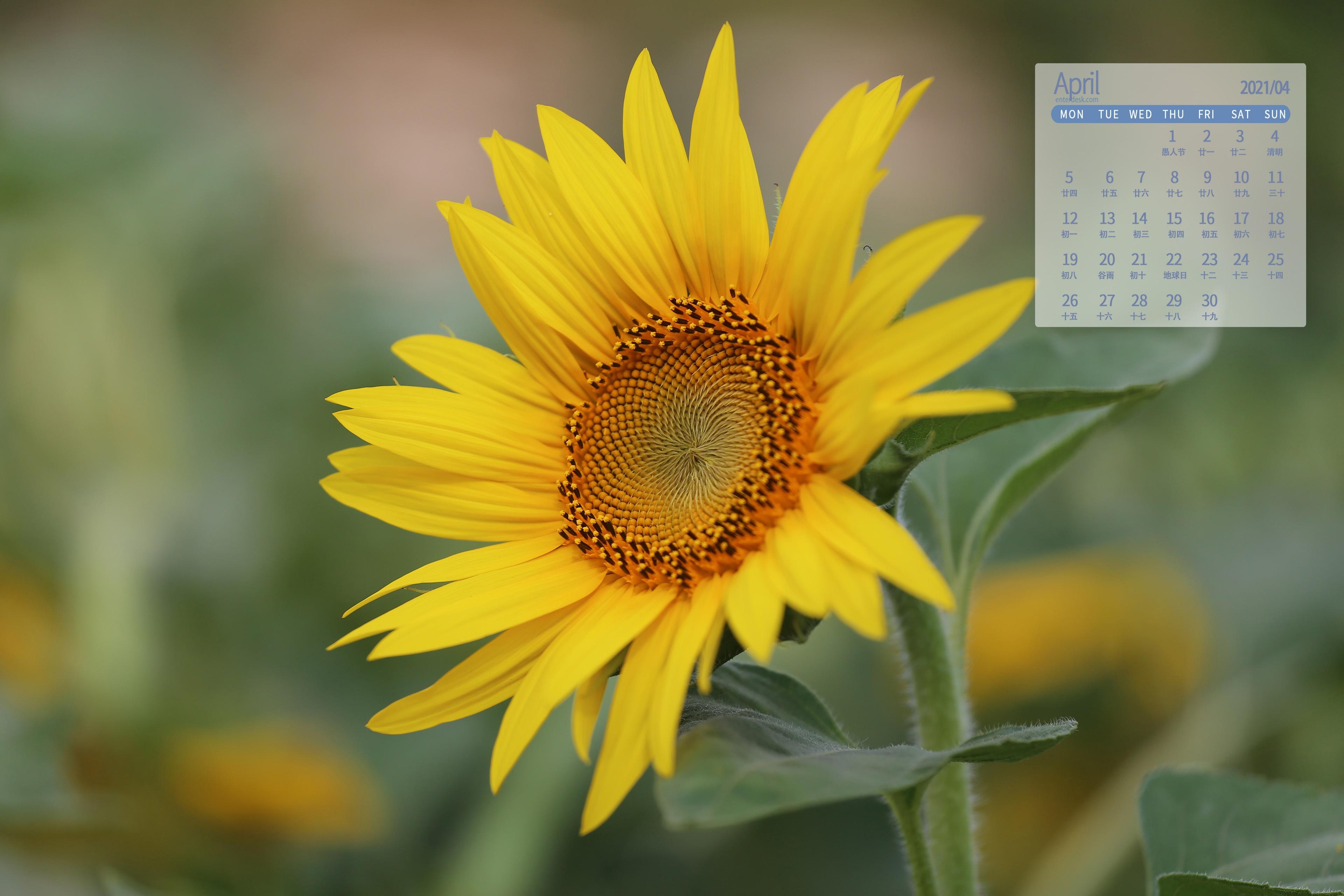 4月份日历_日历月份怎么分大小_日历月份图片