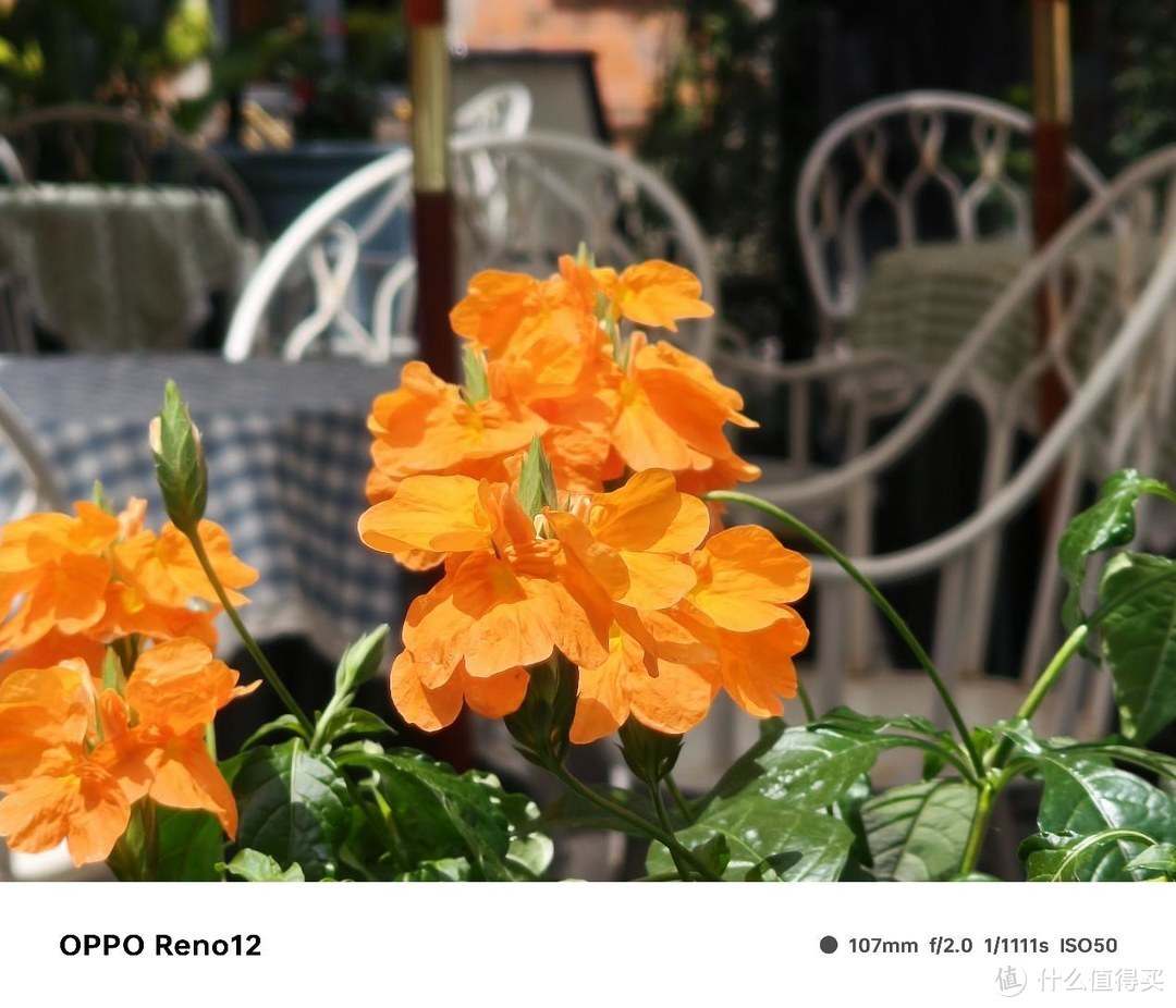 如何用手柄玩手机游戏_oppo手机手柄玩游戏_手柄玩手机游戏需要什么软件