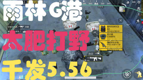 吃鸡儿名字_鸡游戏叫什么名字_吃鸡手机的游戏叫什么名字