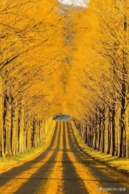 风景漂亮手机游戏有哪些_风景最漂亮 手机游戏_风景特别漂亮的游戏