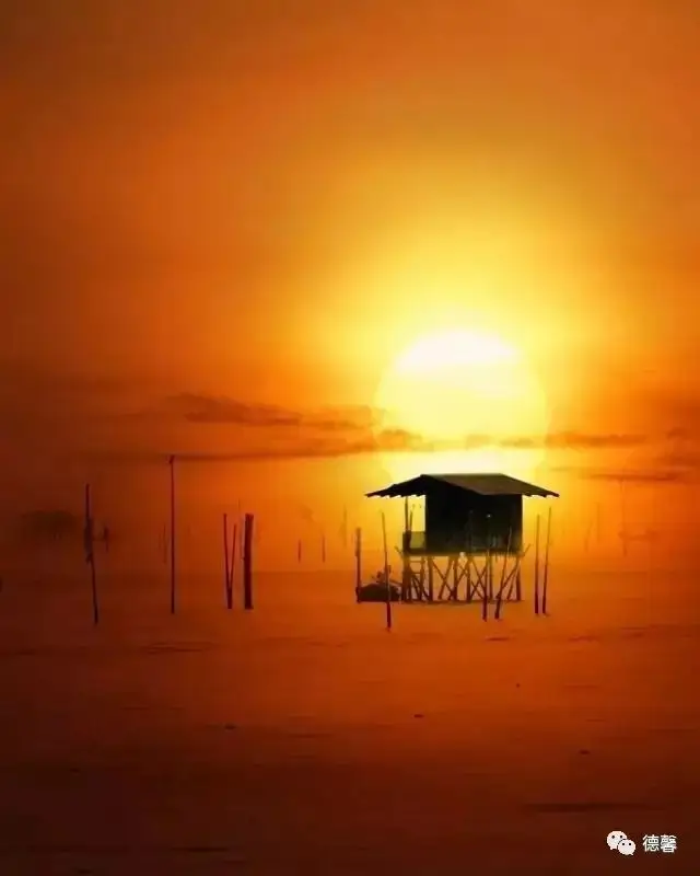 风景特别漂亮的游戏_风景漂亮手机游戏有哪些_风景最漂亮 手机游戏