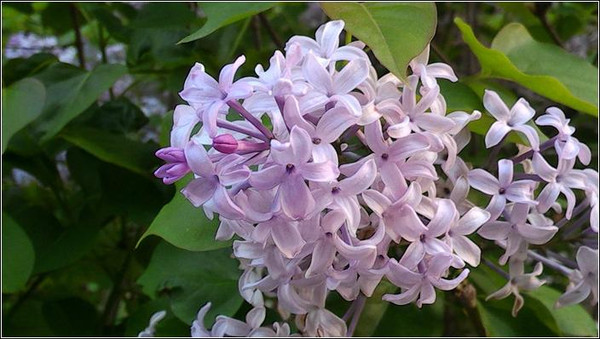 好玩的手机对打游戏_打游戏比较爽快的手机推荐_手机打什么游戏好玩