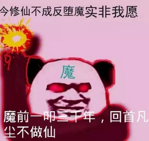单机游戏小鸡_咕咕鸡小游戏合集手机_小鸡的手游
