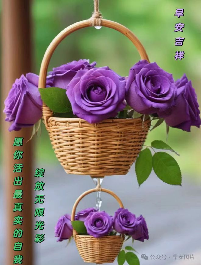 旺肖定在龙马蛇兔是什么生肖_旺肖哪几个生肖_肖旺