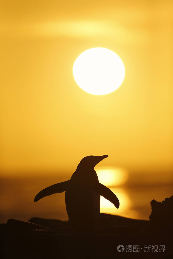 手机游戏npc坐标怎么读取的_手机游戏NBA2K_NP手机游戏