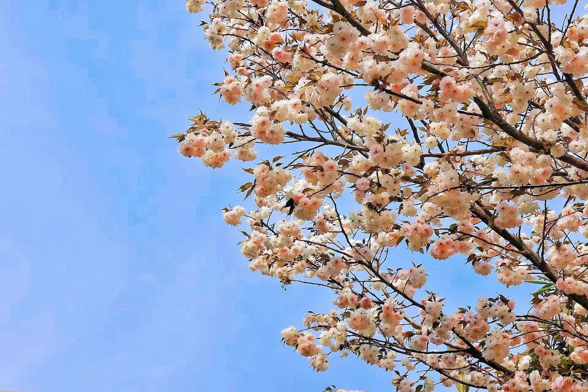 2023年4月24日_哪些年是闰月年_月日年还是日月年