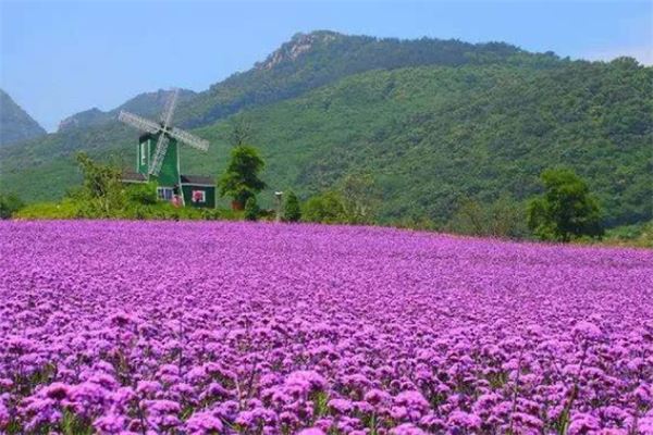 赶海王手游下载_赶海王手机游戏_游戏赶海王图鉴