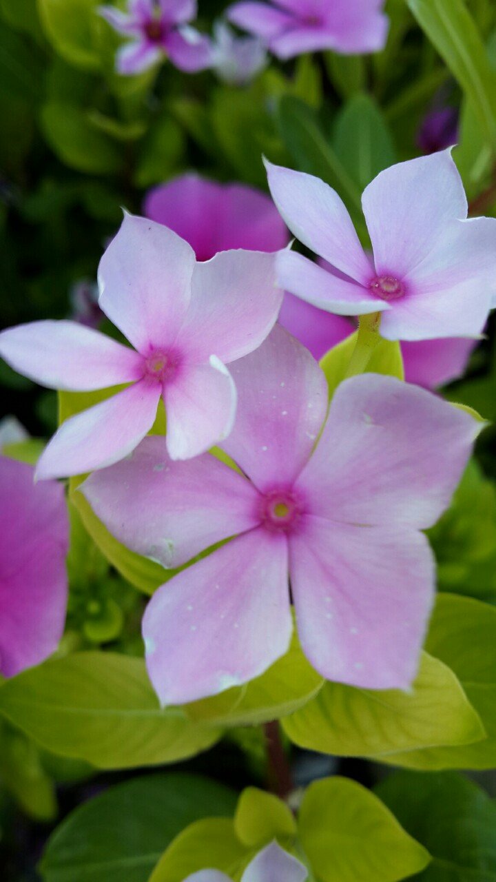 慈溪手机游戏培训机构_慈溪本地游戏中心_慈溪手机游戏