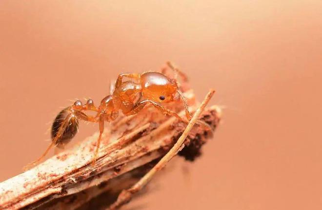 视角恐怖版手机游戏推荐_恐怖游戏用的视角镜头_第一视角恐怖游戏手机版