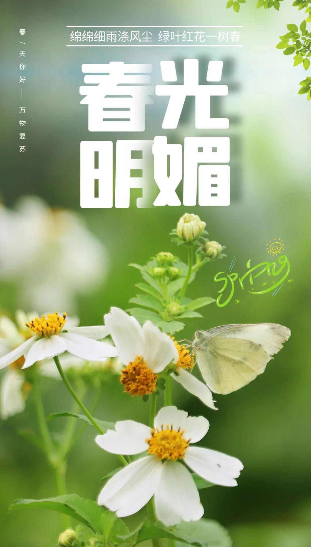 日子是啥_3月14日是什么日子_日和月是