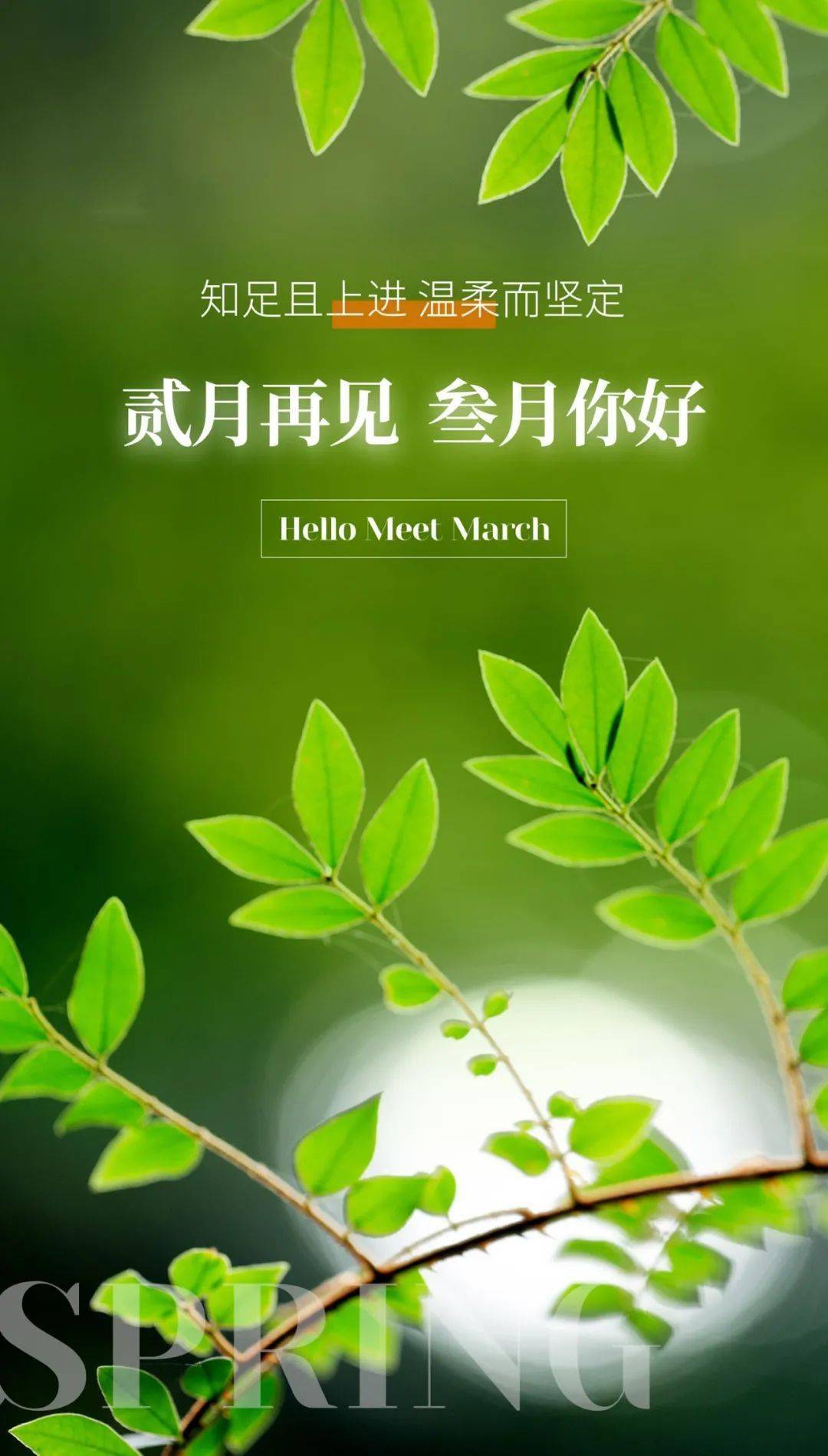3月14日是什么日子_日子是啥_日和月是