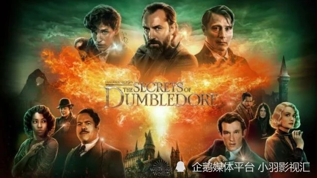 神奇动物邓布利多扮演者_神奇动物3邓布利多之谜_神奇动物：邓布利多之谜