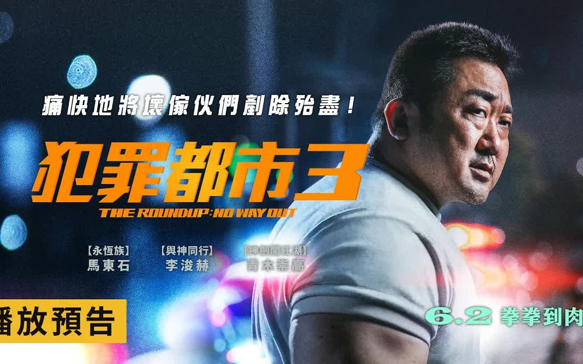 2022年犯罪都市2中语_犯罪都市1_犯罪都市中国语