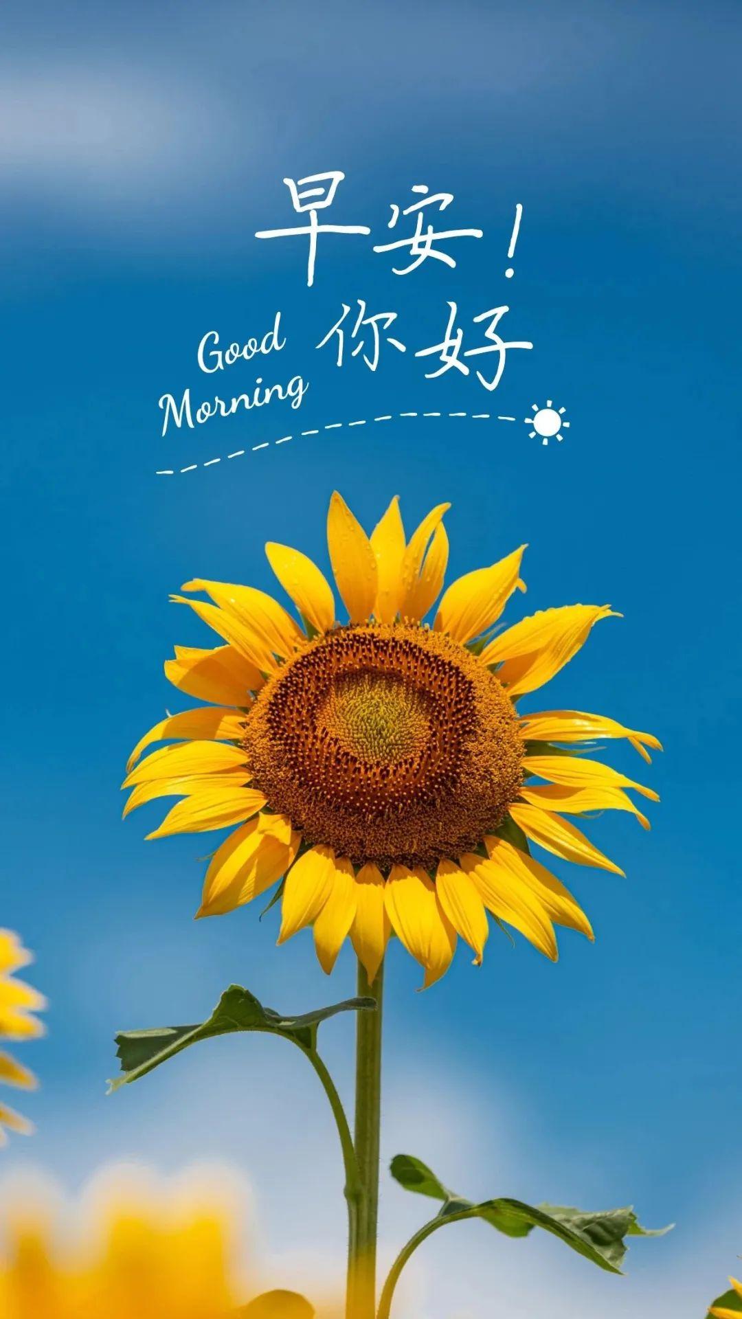 暴力城市手机游戏_暴力城市手机游戏破解版_我想看暴力城市