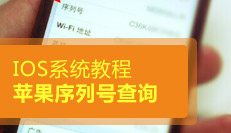 出厂查日期苹果手机怎么查_苹果手机出厂日期怎么查_iphone查出厂日期