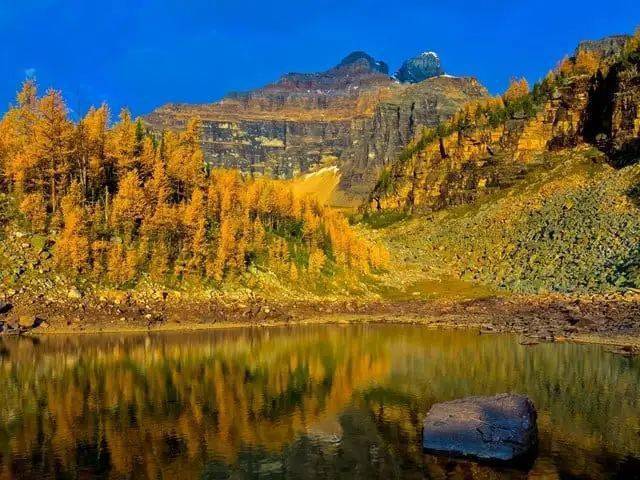 主攻游戏_主攻攻略游戏_bl主攻游戏手机下载