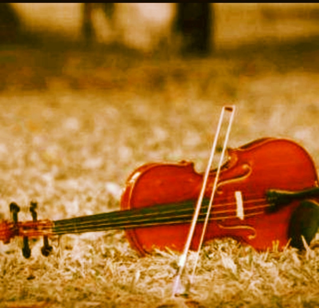 东京奏明曲_东京奏鸣曲_东京奏响曲