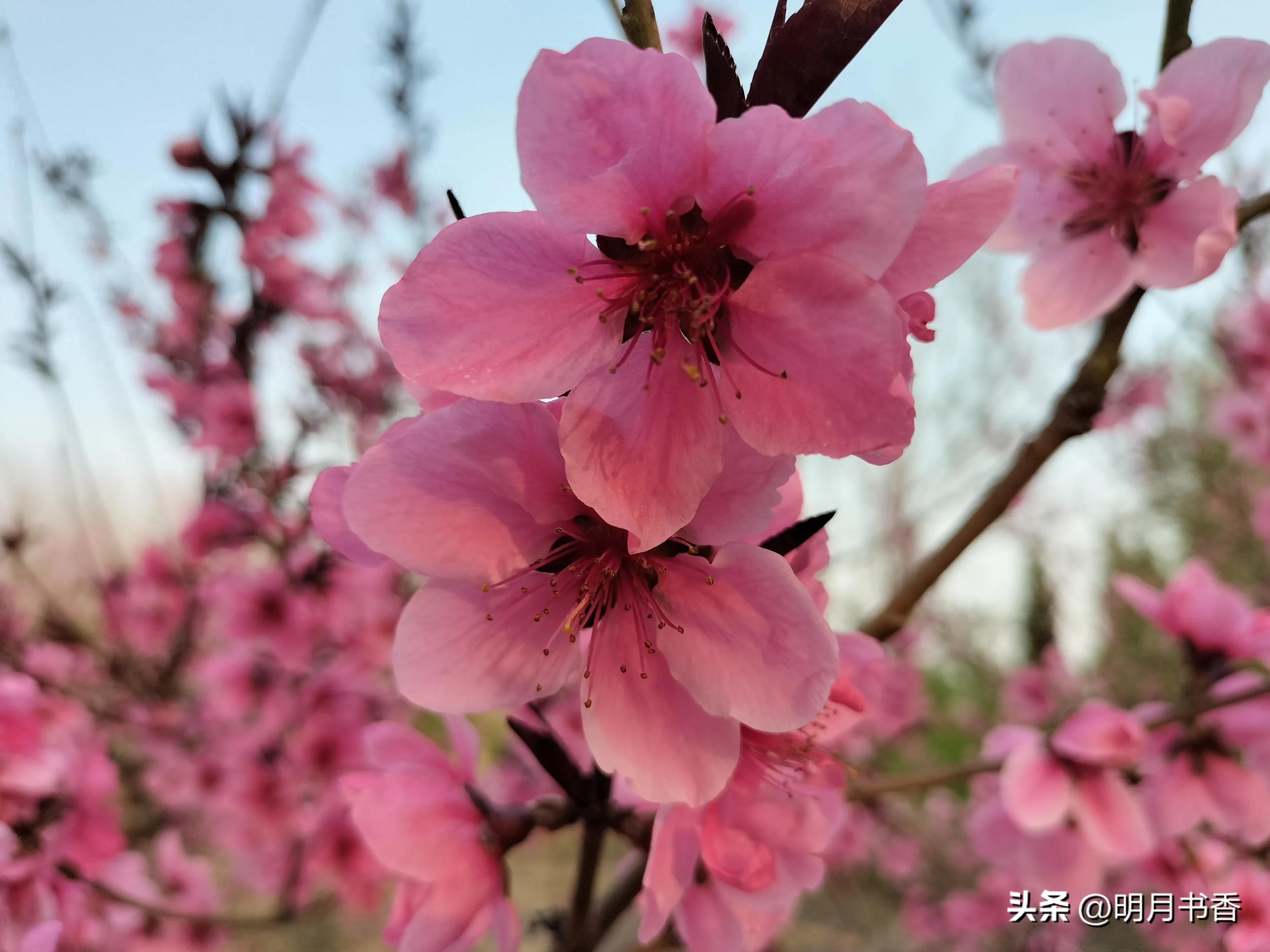 模拟城市：我是市长_模拟城市：我是市长_模拟城市：我是市长